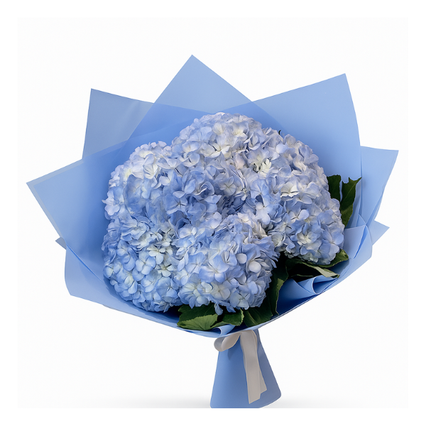 Blue Serenity Bouquet – 7 Hydrangeas