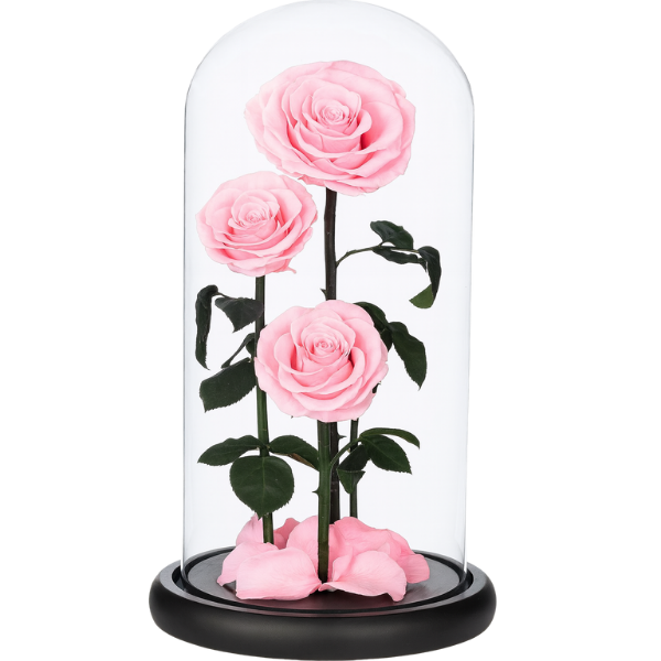 Pink Infinity – Premium Roses in Glass