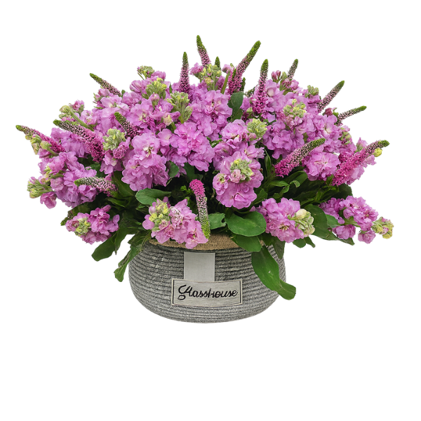 Round Basket Purp - 55