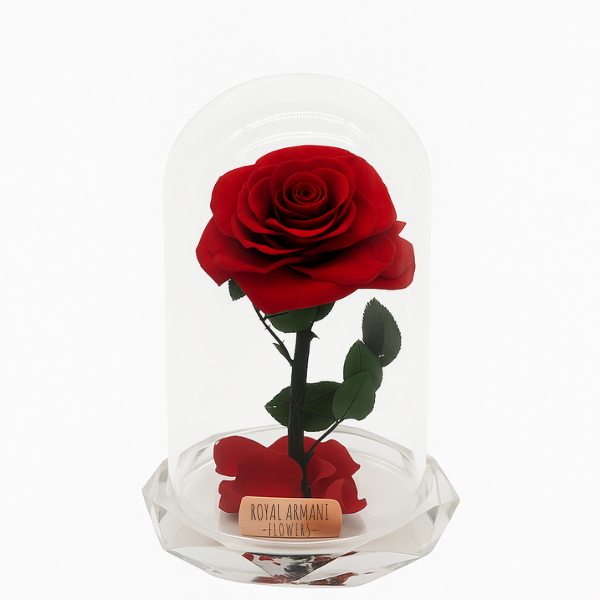 Eternal Desire – Red Rose in Glass Dome