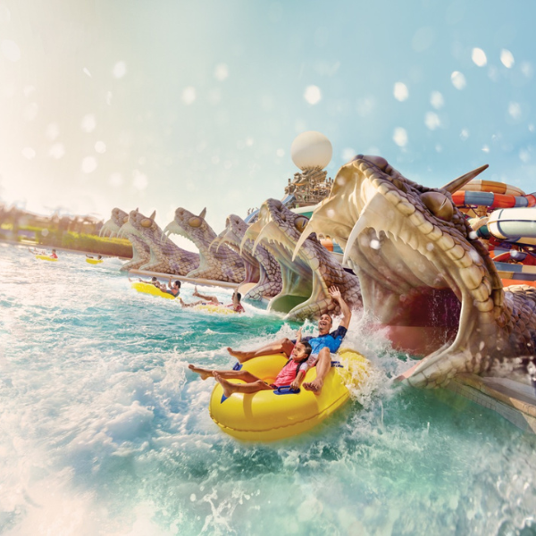 4 Park Ticket Entry - Ferrari World, Yas Waterworld, Warner Bros. World™ , Sea World - Yas Island, Abu 2