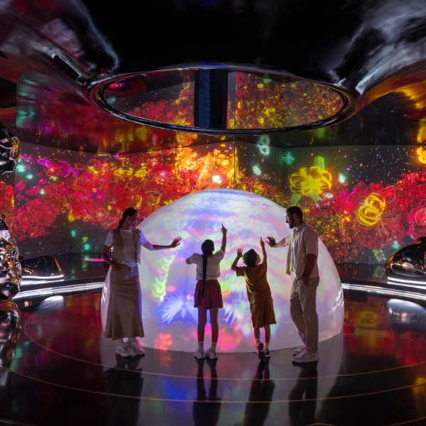 AYA Universe Open-Dated Admission Ticket 5