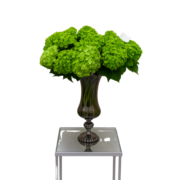 hgbv-10 – Luxe Green Hydrangea Vase Arrangement