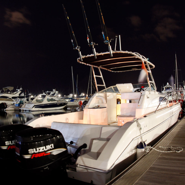 Deep Sea 5 Hours Fishing Experience 5