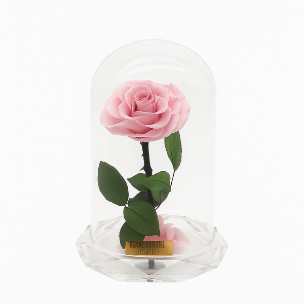 Eternal Grace – Pink Rose in Glass Dome