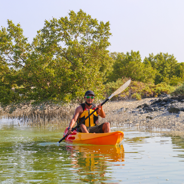 Sunset Electric Dragon Boat Experience – Mangrove Park (60 Minutes) - Child Ticket 5