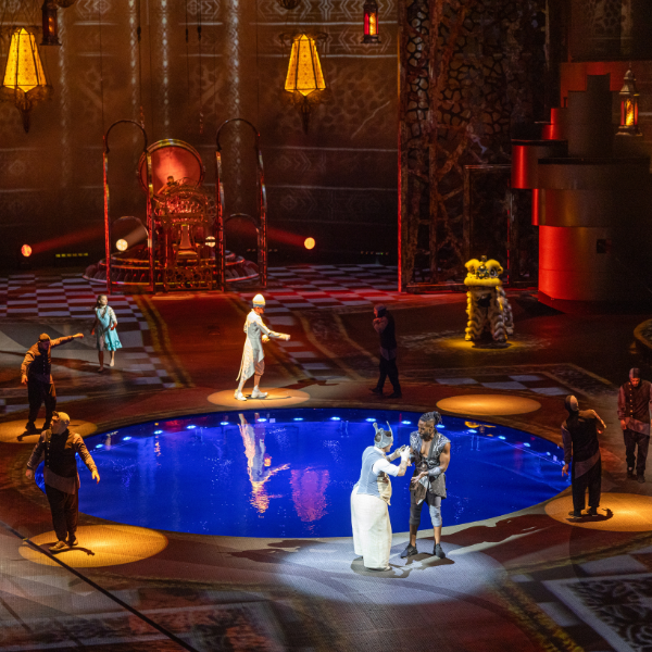 La Perle Show & Dinner Package at Babiole Restaurant | Gold Category 4