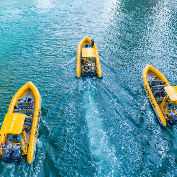 Yellow Boat Ride - 99-Min The Original Tour AD 7