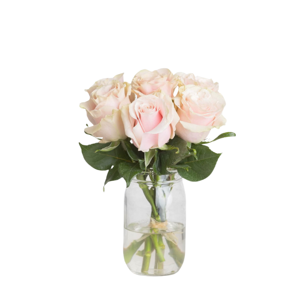 Blush Charm – Pink Rose Bouquet