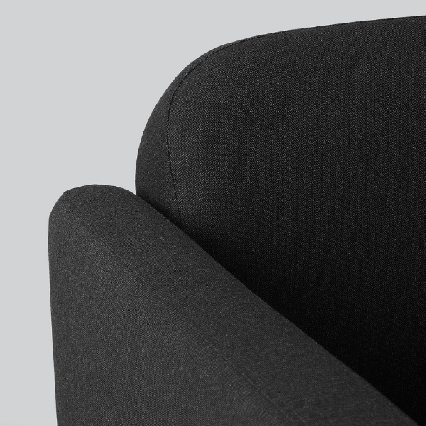 LINANÄS Loveseat - Vissle dark gray 4