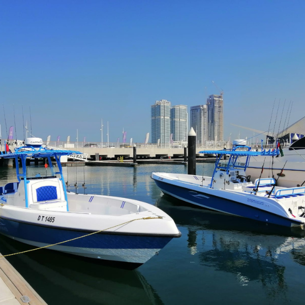 Deep Sea 5 Hours Fishing Experience 13