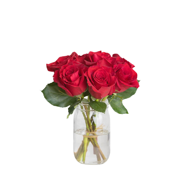 Classic Love – 6 Red Roses Bouquet