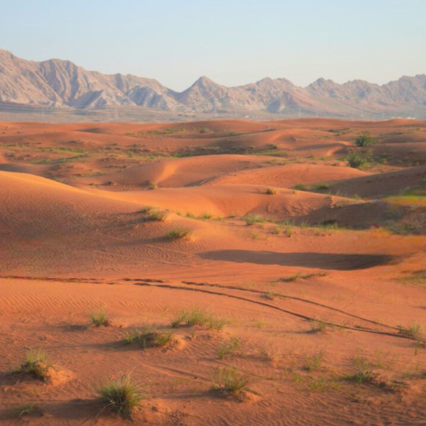 Zarzura Experience & Prive Dinner over the Golden Desert 5
