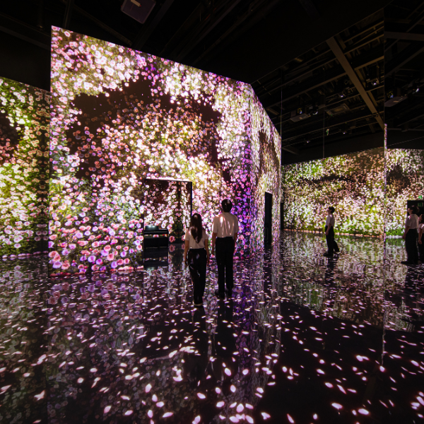 Arte Museum – General Admission with Arte Tea Bar | Dubai (Adult Ticket) 10