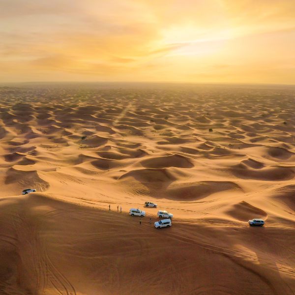 Elevate Golden Dunes - Morning Safari – Private Experience