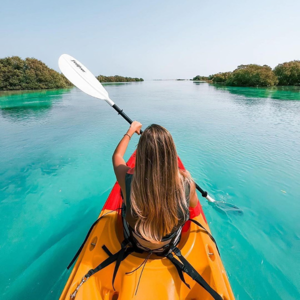 Sunset Electric Dragon Boat Experience – Mangrove Park (60 Minutes) - Adult Ticket 4
