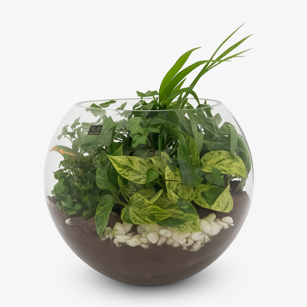 Emerald Harmony Terrarium – Glass Bowl Edition