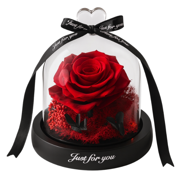 Royal Red – Premium Roses in Glass