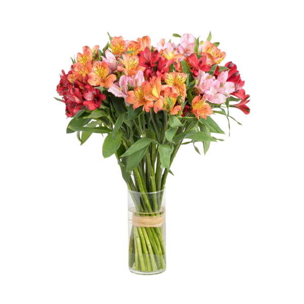 Sunset Glow – Mixed Alstroemeria Bouquet