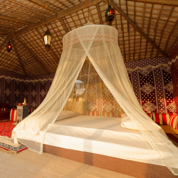 Heritage Desert Safari with Overnight up to 2 Guests 9