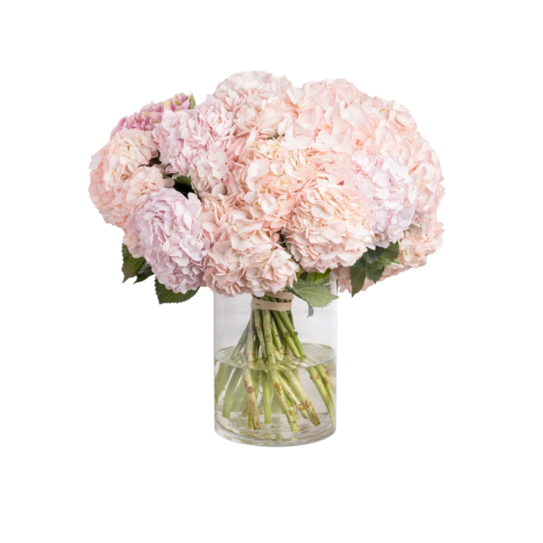 Whisper Bloom – Blush Hydrangea Bouquet